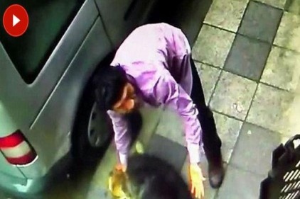 Köpeğe şiddet uygulayan kişi gözaltına alındı