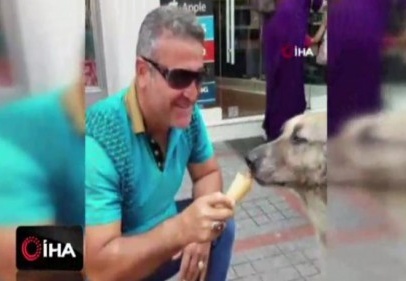 Köpeğin dondurma keyfi