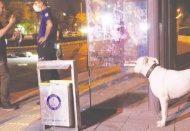 Köpeğini gezdirmeye çıktı, öldürüldü