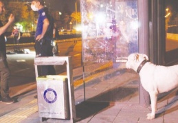 Köpeğini gezdirmeye çıktı, öldürüldü