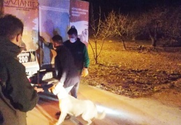 Köpek dövüşüne baskın