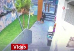 Köpek kediyi parçaladı, vicdansız kadın sadece izledi