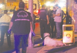 Köpek, öldürülen sahibinin başından ayrılmadı