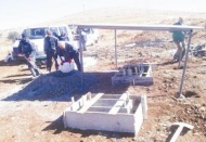 Köpekler için “beslenme noktaları” oluşturuldu