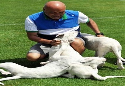 Köpeklerle stres attı 