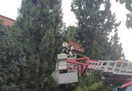 Köpekten korkan kediyi itfaiye ağaçtan indirdi 