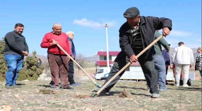 Korkuteli’de antepfıstığı yetiştiriciliği yapılacak