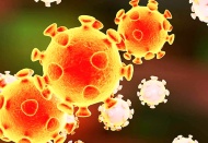 Koronavirüs, bir yılda 12 bin mutasyon geçirdi