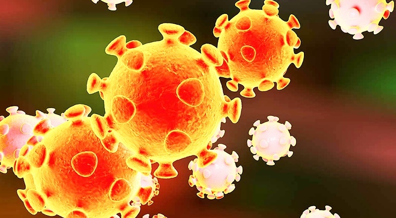 Koronavirüs, bir yılda 12 bin mutasyon geçirdi