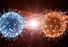 Koronavirüs hakkında çıkan haber sayısı 21 milyonu aştı