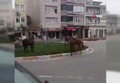 Koronayı fırsat bilen atlar sokağa indi