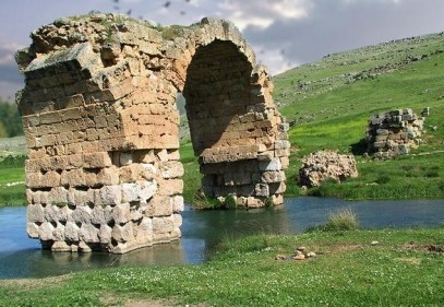Koruma altına alınmazsa yok olacak