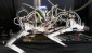 Koşan robot ‘Çita’ hız rekoru kırdı