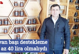 Kovan başı, destekleme en az 40 lira olmalıydı