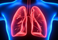 Kovid-19 ilaç denemeleri: Yapay organ dönemi başlıyor