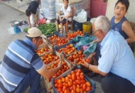 Köylü, kendi sebzesini üretiyor