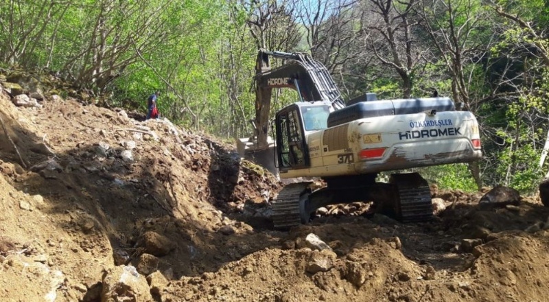 Köylüler gözyaşları içinde ağaçların sökülmesini izliyor"