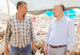 Küçükbaş hayvan üreticileri can çekişiyor