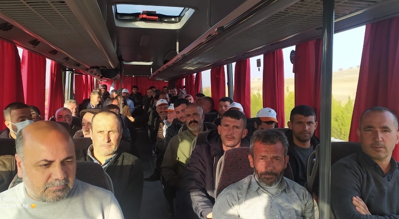 Küçükbaş hayvancılıkta sürüyü koç ve teke meydana getirir