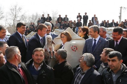 Küçükbaş hayvanlar için 973 çiftçiye 506 ton yem dağıtıldı