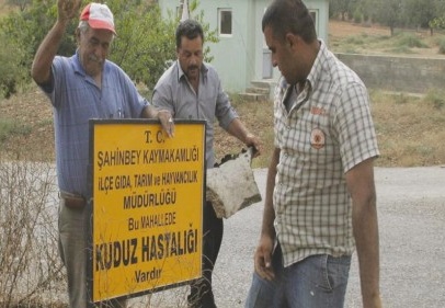 Kuduz nedeniyle bir köy karantinaya alındı