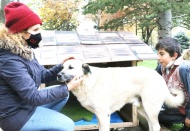 Kullanamadıkları dekorları sokak hayvanları için kulübeye dönüştürdüler