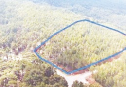 Kültür ve Turizm Bakanlığı bazı ormanlık alanları turizme açmış