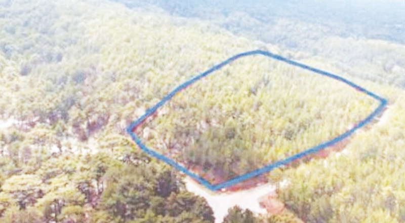 Kültür ve Turizm Bakanlığı bazı ormanlık alanları turizme açmış