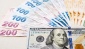 Kur korumalı mevduat hesabının TL kredide teminat sayılmasına koşullu izin
