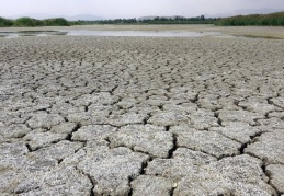 Kuraklığa karşı su tasarrufu çağrısı: "Aksi takdirde bazı ürünleri Türkiye'de üretemez hale gelebiliriz"