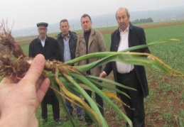 Kuraklık korkusu yaşayan üreticinin yüzünü iki damla yağış bile güldürdü
