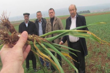Kuraklık korkusu yaşayan üreticinin yüzünü iki damla yağış bile güldürdü