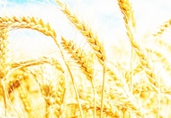 Türkiye'de de temel gıda fiyatlarının artması bekleniyor