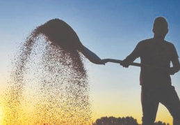 Kuraklık, maliyet artışları ile birleştiğinde gıda fiyatları zamlanacak