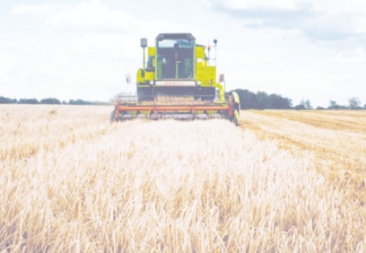 Kuraklık nedeniyle zarar gören çiftçiye destek ödemesi yapılacak