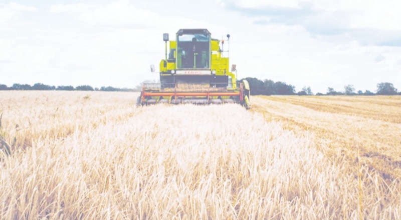 Kuraklık nedeniyle zarar gören çiftçiye destek ödemesi yapılacak