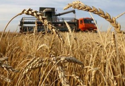 Kuraklık sigortası buğdayda başlıyor… 