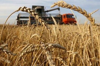 Kuraklık sigortası buğdayda başlıyor&#8230; 