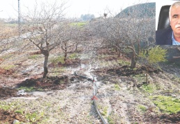Kuraklık sürerse, hububatta rekolte kaybı yüzde 70’i bulur