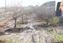 Kuraklık sürerse, hububatta rekolte kaybı yüzde 70’i bulur