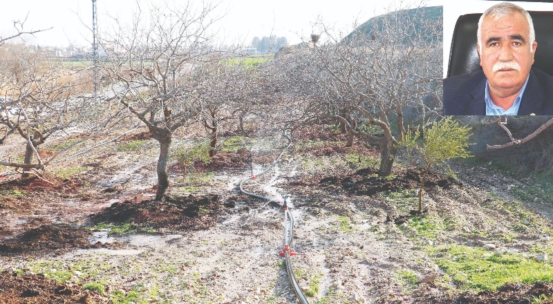 Kuraklık sürerse, hububatta rekolte kaybı yüzde 70’i bulur