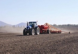 Kuraklık, tahıl üretimini çok olumsuz etkiledi