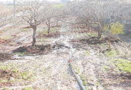 Kuraklık, tüm ürünlerde rekolte kaybına neden olacak