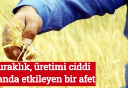 Kuraklık, üretimi ciddi oranda etkileyen bir afet