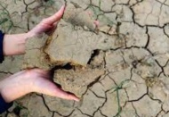 Kuraklık ve yanlış tarım uygulamaları buğday üretiminin geleceğini riske atıyor