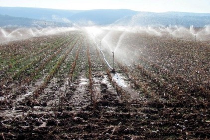 Kuraklık yüzünden ekinler sulanmaya başlandı