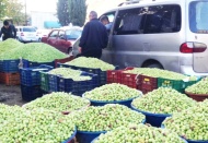 Kuraklık, zeytin rekoltesini düşürdü