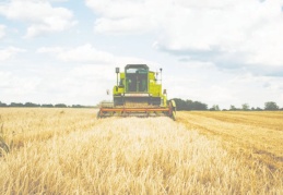 Kuraklıkla boğuşan çiftçiye 100 TL’lik destek açıklandı