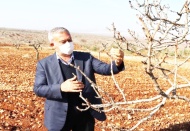 Kuraklıktan etkilenen çiftçiye destek verilecek