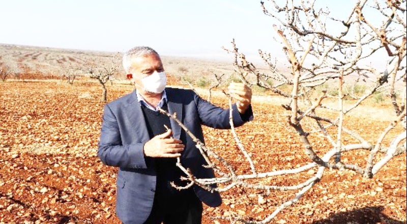 Kuraklıktan etkilenen çiftçiye destek verilecek